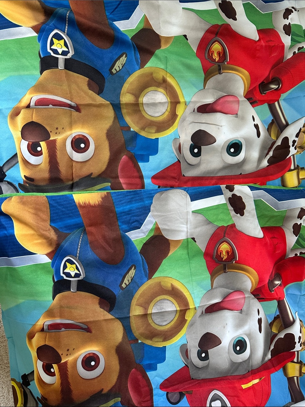 Nickelodeon Paw Patrol Blue Red Green Kids Accent Pillow Cover
